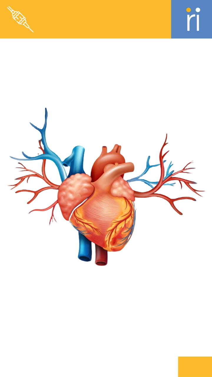 background
            image