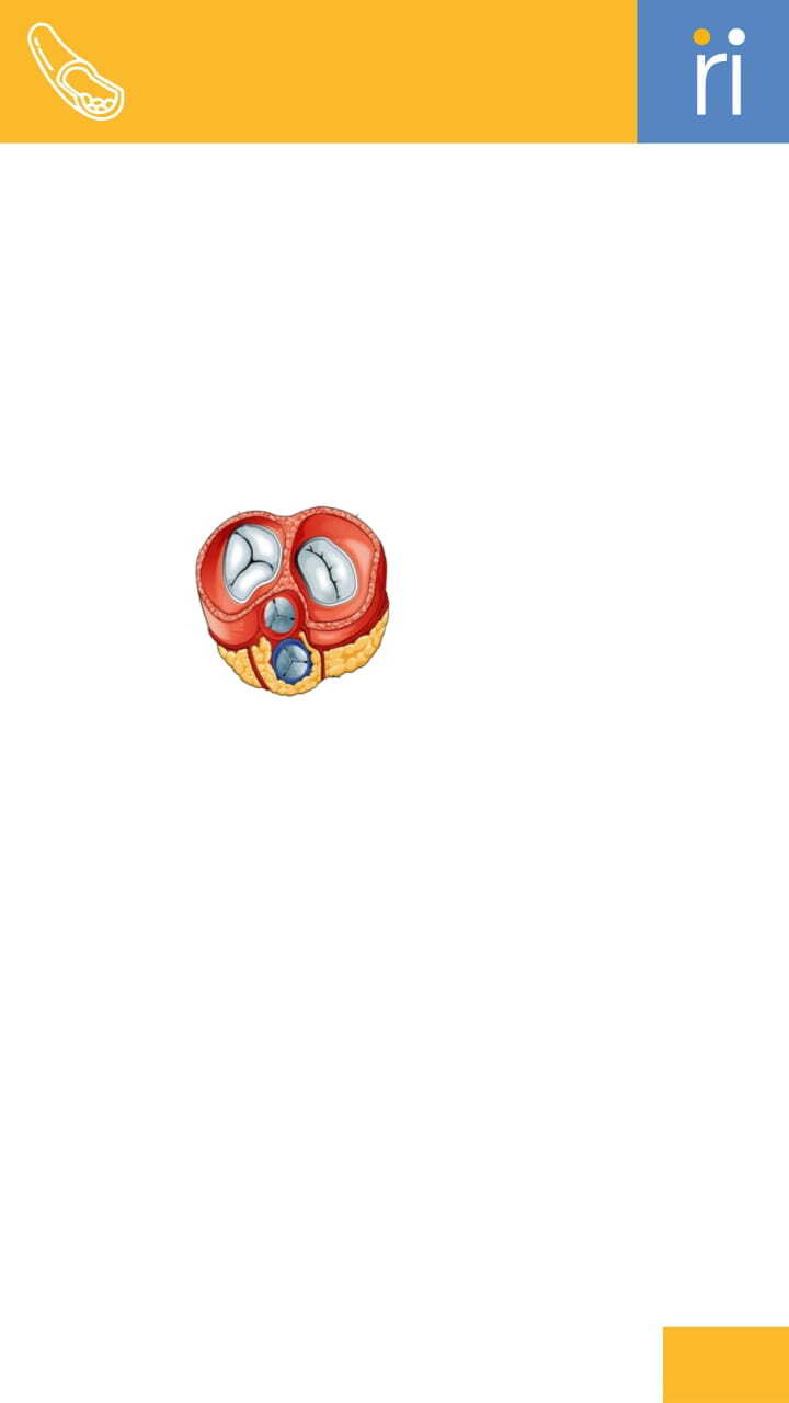 background
            image